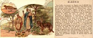 ALGERIE - LA PANTHERE (8)